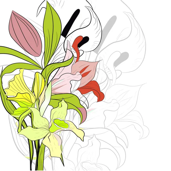Våren bakgrund med lily blommor — Stock vektor