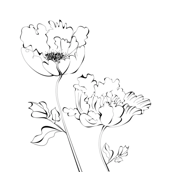 花と黒と白のスケッチ — ストックベクタ