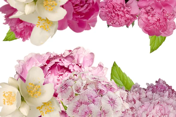 Dekorativní pozadí s květinami — Stock fotografie