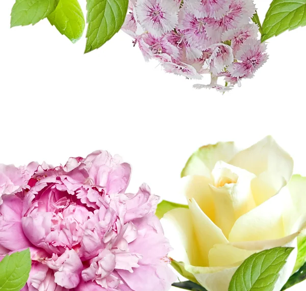 Cartão decorativo com flores — Fotografia de Stock