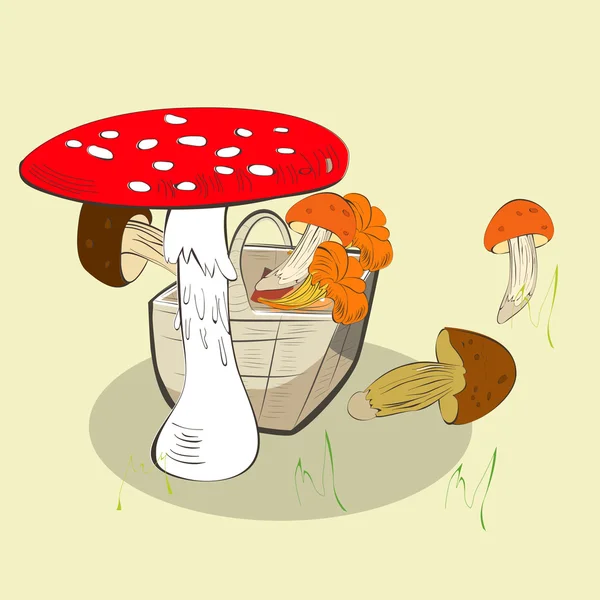 Mushrooms in basket — Stock Vector