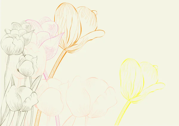 郁金香花朵装饰背景 — 图库矢量图片