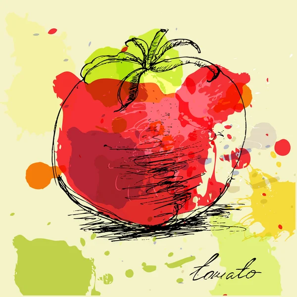 Tomate — Archivo Imágenes Vectoriales