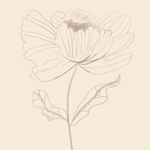 定型化された花 — ストックベクタ