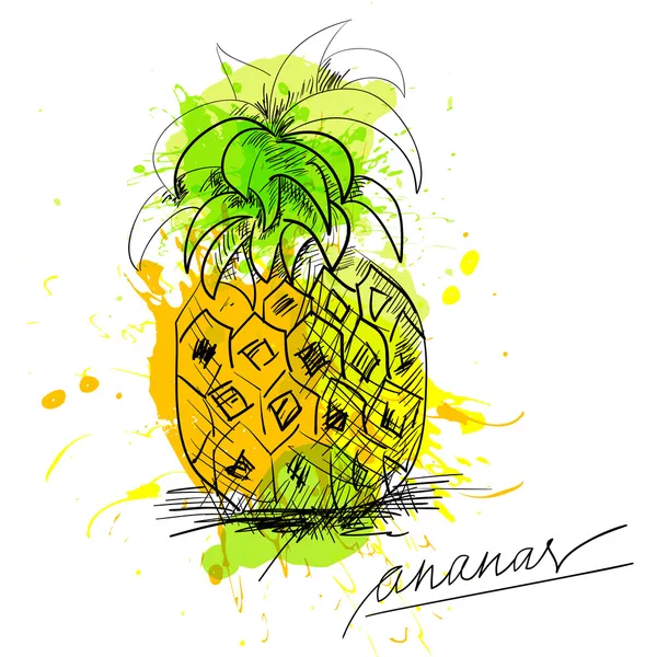 Szkic z ananasem — Wektor stockowy