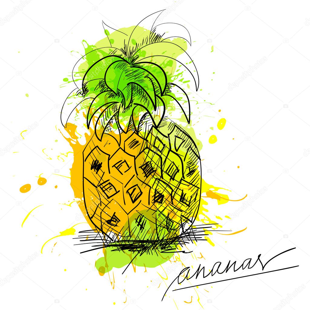 Sketch of pineapple