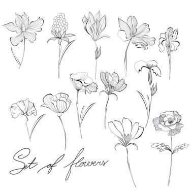 Sketch of flowers clipart