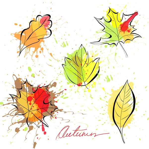 Conjunto de hojas de otoño — Vector de stock