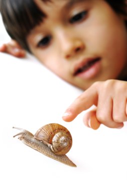 Snail and kid clipart