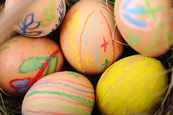 Oeufs colorés de Pâques dans le panier — Photo