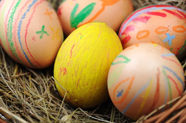 Пасхальные разноцветные яйца в корзине — стоковое фото
