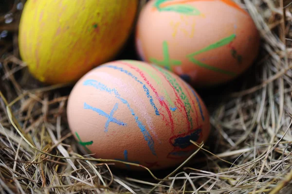 Páscoa ovos coloridos na cesta — Fotografia de Stock
