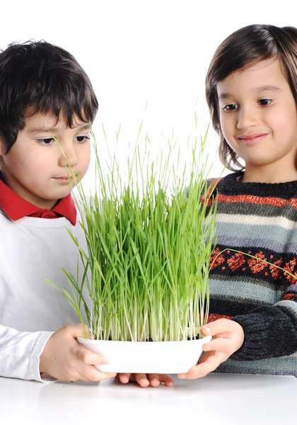 Två pojkar med grönt gräs i händer — Stockfoto