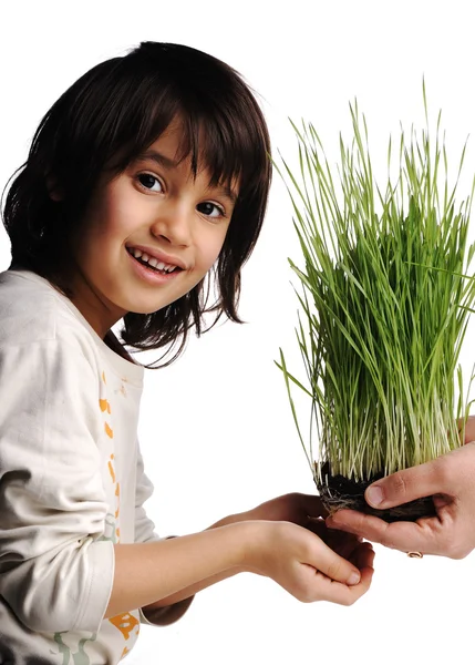 Mani umane, floreale dando isolato, concetto di erba e bambino felice — Foto Stock