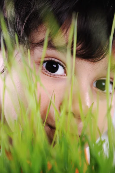 Kid olhos closeup grama planta — Fotografia de Stock