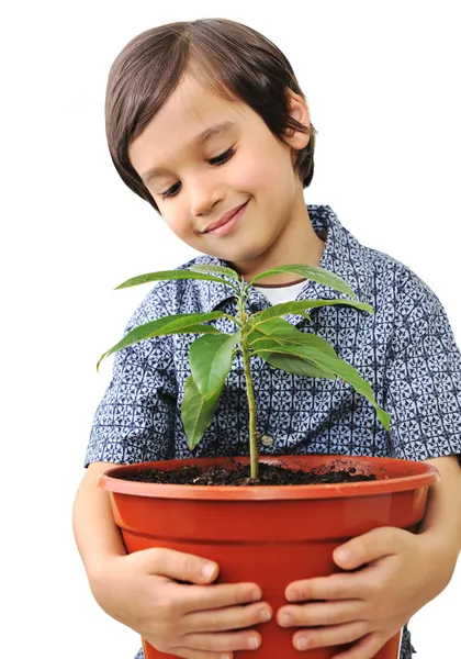 Closeup portrait of a beautiful happy little child holding plant — Stock Photo, Image