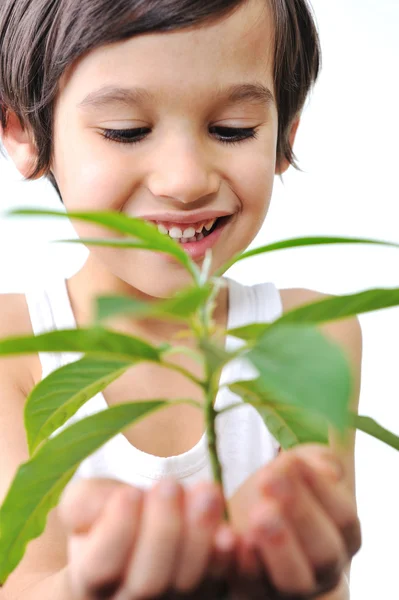 4-5-6 ετών αγόρι με πράσινο φυτό που απομονώνονται σε λευκό — Φωτογραφία Αρχείου