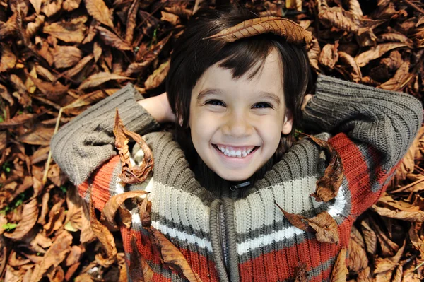 Pequeño niño positivo feliz tendido en el suelo de la caída, hojas amarillas y rojas arou — Foto de Stock
