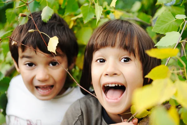 Szczęśliwe dzieciństwo odkryty, szczęśliwy twarze między liśćmi drzewa w — Zdjęcie stockowe