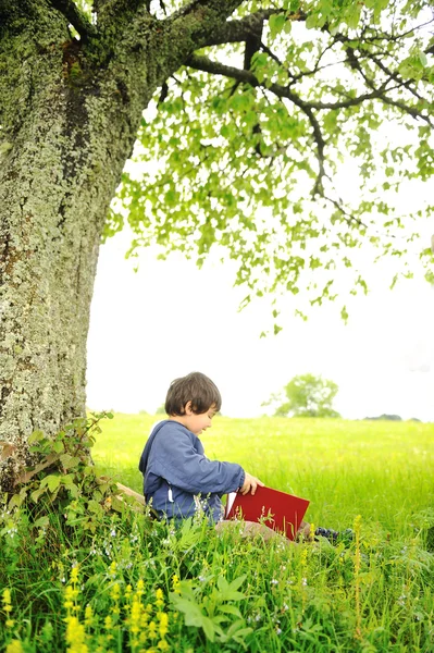 Niños felices leyendo el libro bajo el árbol —  Fotos de Stock