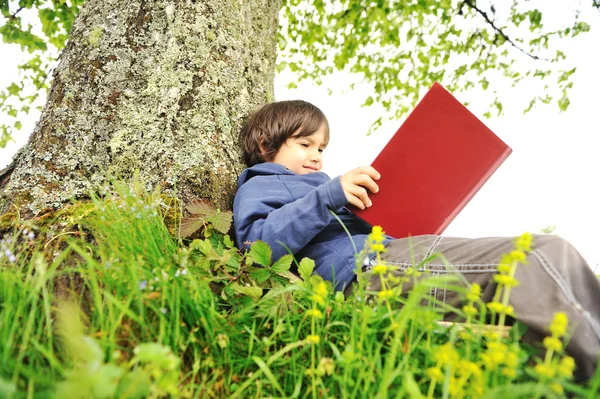 Šťastné děti čtení knihy pod stromeček — Stock fotografie