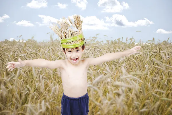 Miúdo bonito no prado de trigo com coroa de trigo na cabeça — Fotografia de Stock