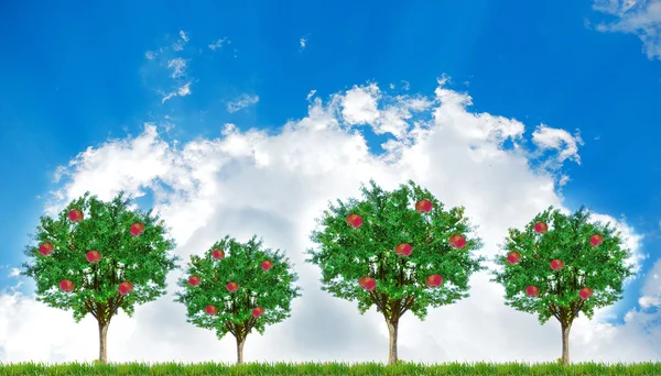 पीछे आकाश के साथ सेब पेड़ों की अवधारणा — स्टॉक फ़ोटो, इमेज