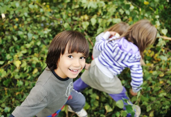 Happy childhood outdoor, happy faces between the leaves of the trees in for — Stock Photo, Image