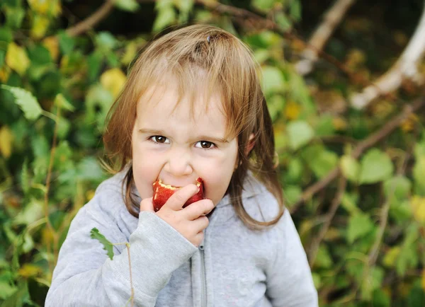 Piccola ragazza carina mangiare una mela all'aperto — Foto Stock