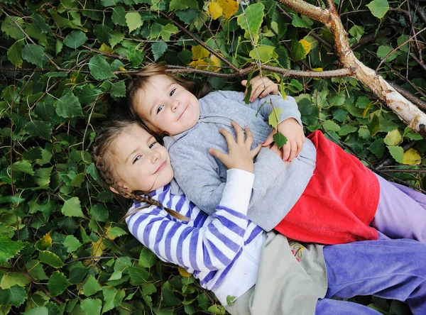 Odkryty, szczęśliwy twarze między liśćmi drzew w lesie i parku — Zdjęcie stockowe