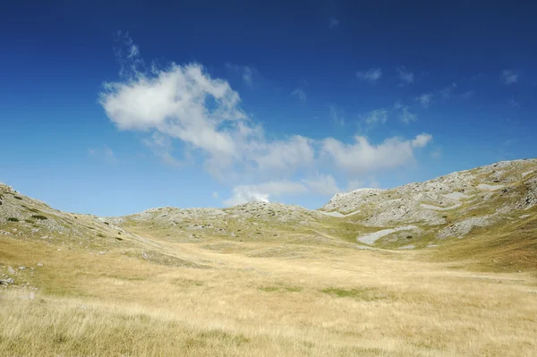 Gelbes Gras auf dem Gipfel des Berges, Hintergrund Landskape — Stockfoto