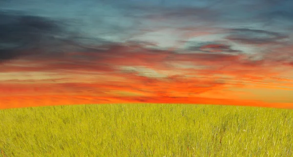 Çim ve Kızıl gökyüzü — Stok fotoğraf