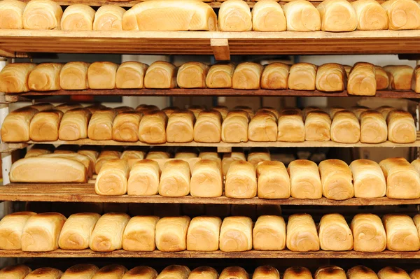 I bröd bageri, mat fabriken — Stockfoto