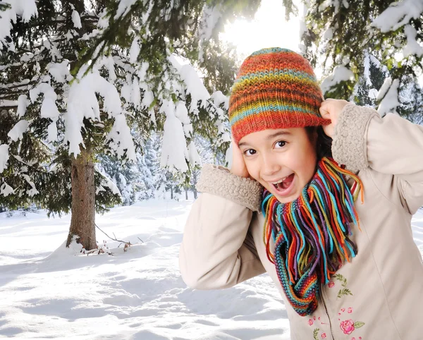 Felicidade de inverno — Fotografia de Stock