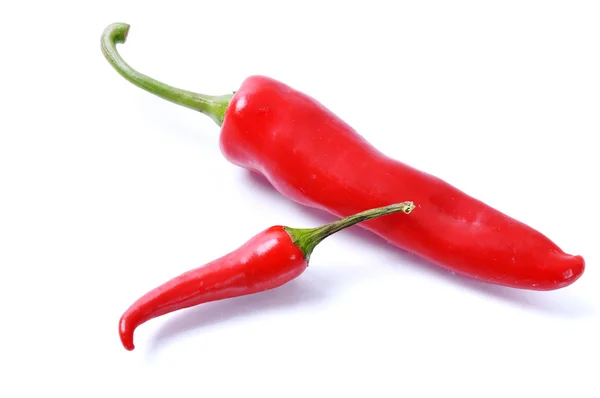 Varm paprika, paprica — Stockfoto