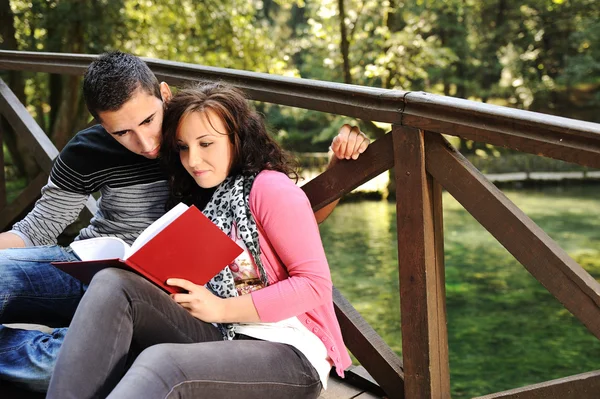 Casal jovem, masculino e feminino sentado no parque e lendo um livro — Fotografia de Stock