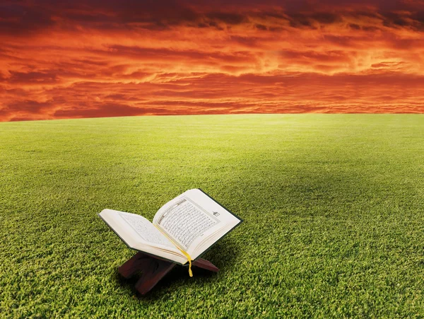 Книга в воздухе на фоне зеленого панорамного природного ландшафта — стоковое фото