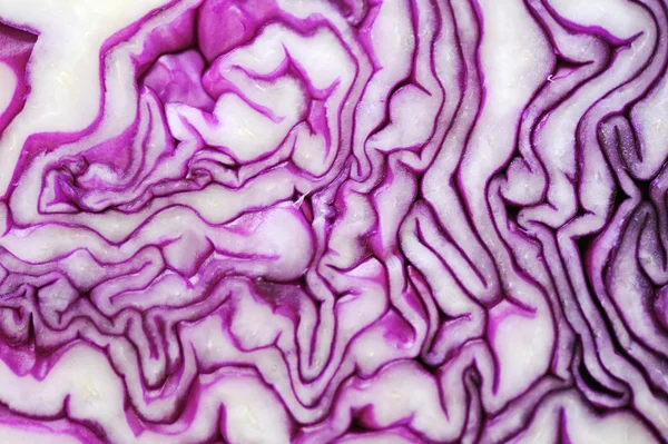 Cabbage vegetable background, closeup — Stock Photo, Image