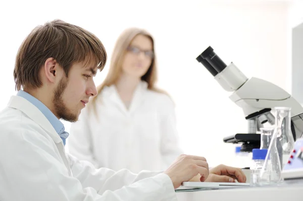 Science team working with microscopes in a laboratory Royalty Free Stock Photos