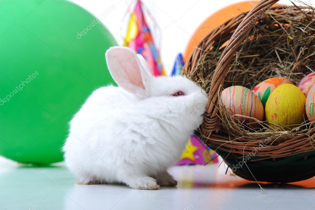 White beautiful rabbit, Easter bunny with eggs in basket