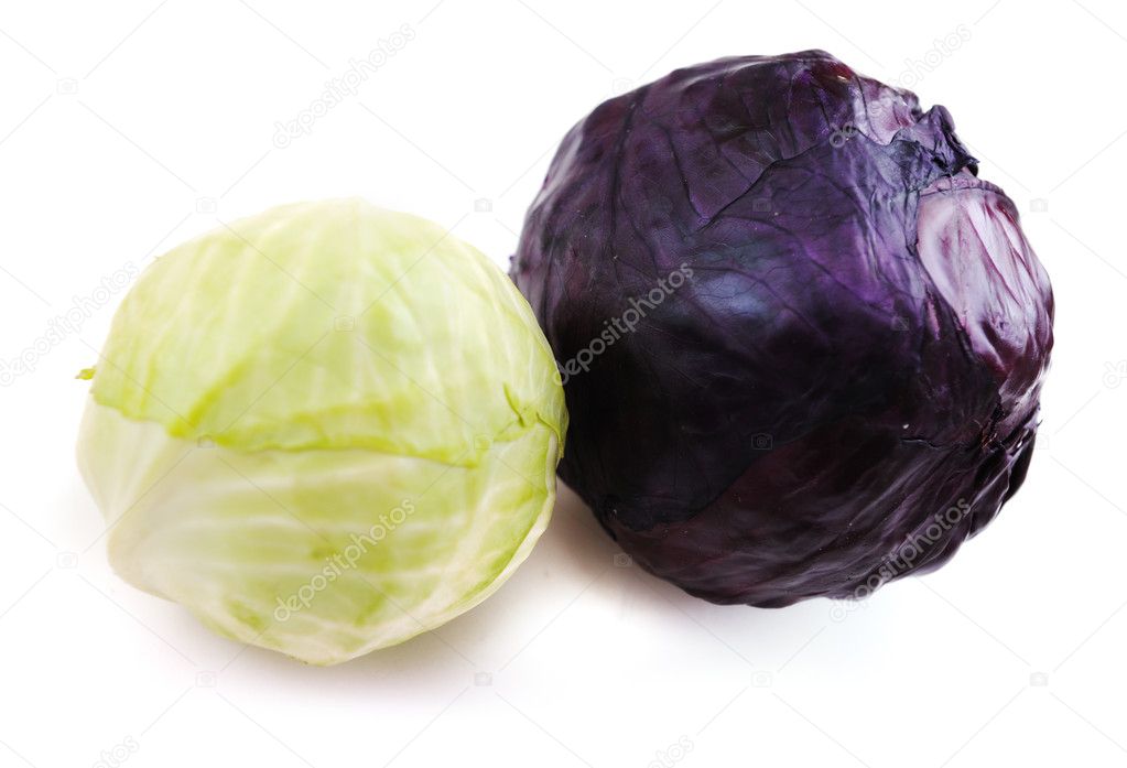 Repollo blanco y negro fotografía de stock © zurijeta 6151352