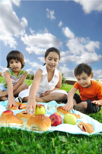 Piccolo gruppo di bambini che mangiano insieme nella natura, picnic, bella scena — Foto Stock