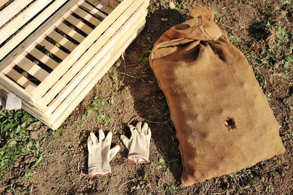 Recoger la cosecha en otoño, herramientas, guantes, caja vacía y bolsa para ella — Foto de Stock