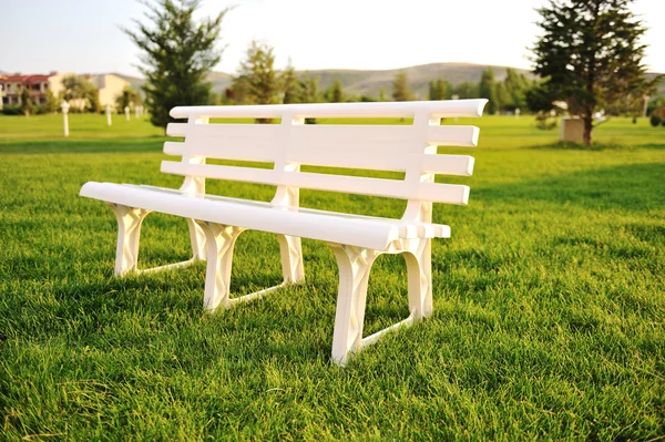 Hvit stol i parken, nei – stockfoto