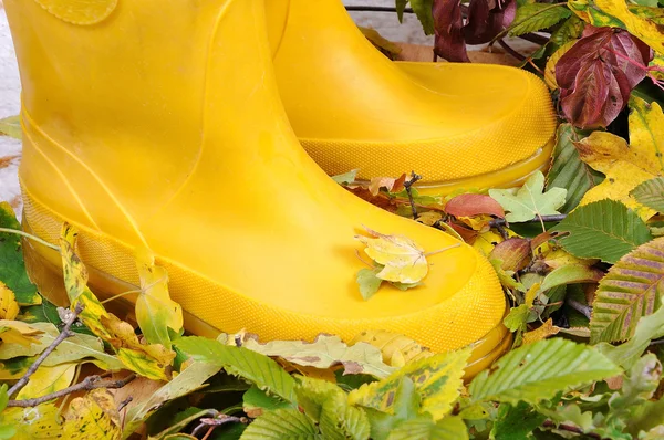 Dvě nohy s boty na podzim půdu — Stock fotografie