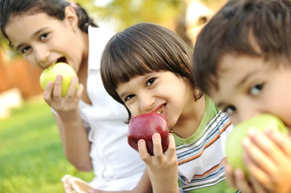 Pequeno grupo de crianças comendo maçãs juntas, shalow DOF Imagens Royalty-Free