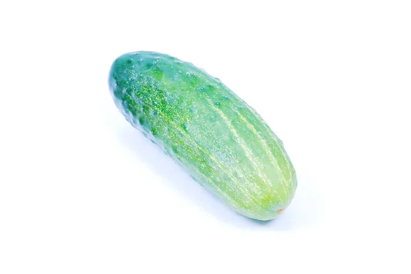 Zielony cocumber na białym tle — Zdjęcie stockowe