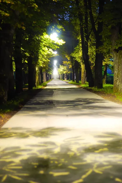Vägen mellan natt och dagsljus — Stockfoto