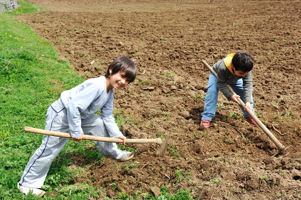 Pequeño granjero trabajando en la granja, niño — Foto de Stock