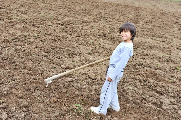 Pequeno agricultor trabalhando na fazenda, criança — Fotografia de Stock
